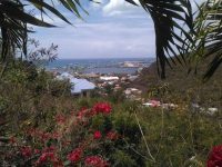Almond Grove Land – Lot Delphine – For Sale