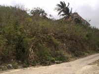 South Reward Hillside Land for Sale