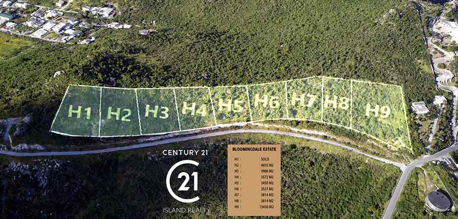 Guana Bay Estate Land For Development