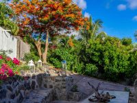 Stunning Almond Grove Villa Tropicale in Cole Bay