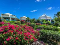 Coral Shore Two Bedroom Oceanfront Villas For Sale