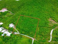 Mount William- Large Development Land For Sale